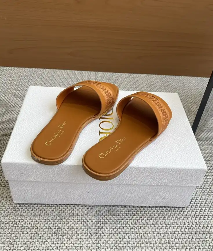 hype Christian Dior Slippers