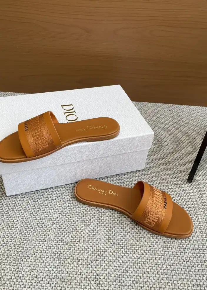 hype Christian Dior Slippers