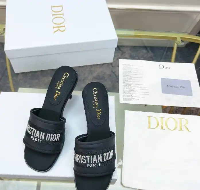 hype Christian Dior Slippers