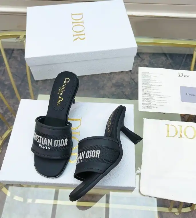 hype Christian Dior Slippers