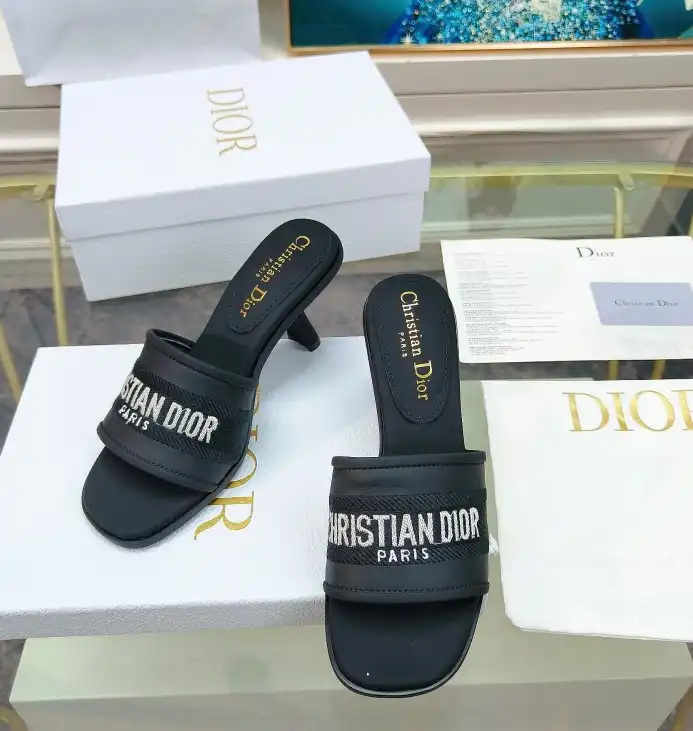 hype Christian Dior Slippers