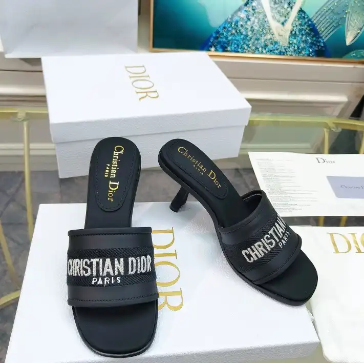 hype Christian Dior Slippers