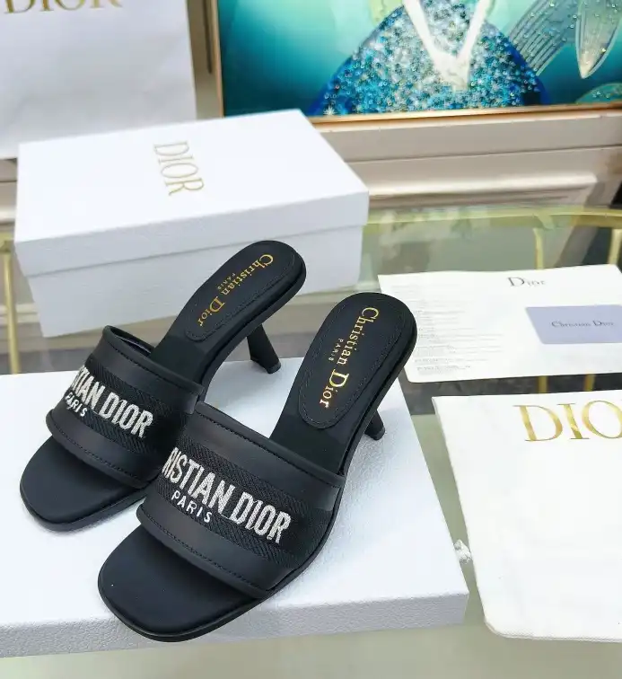 hype Christian Dior Slippers