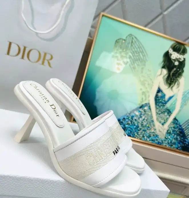 hype Christian Dior Slippers