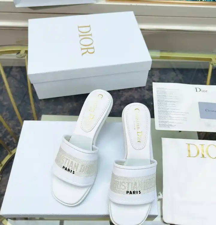 hype Christian Dior Slippers