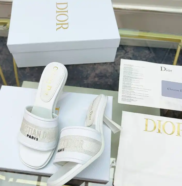 hype Christian Dior Slippers