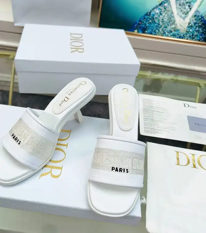 hype Christian Dior Slippers