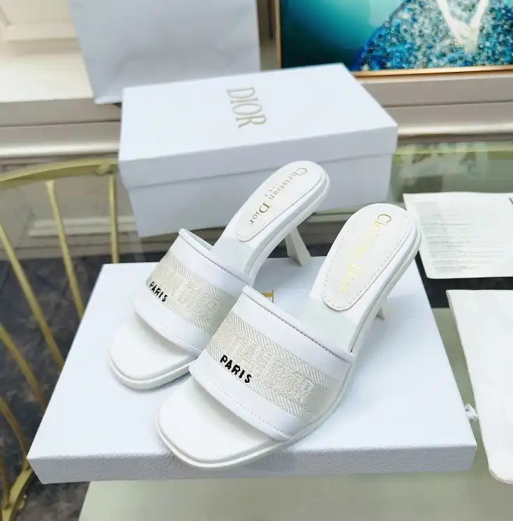 hype Christian Dior Slippers