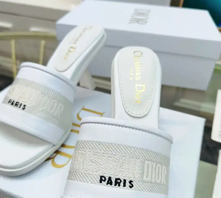 hype Christian Dior Slippers