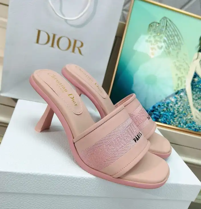 hype Christian Dior Slippers