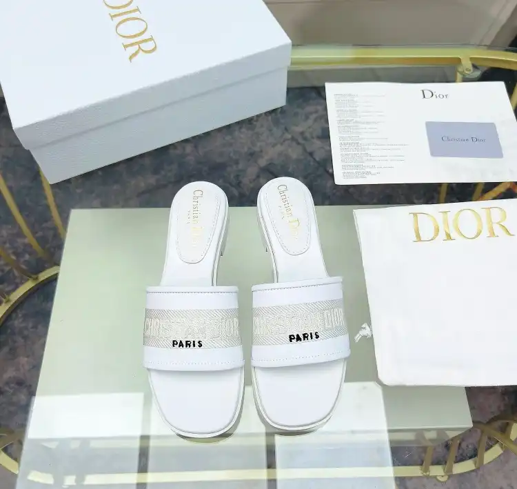 hype Christian Dior Slippers