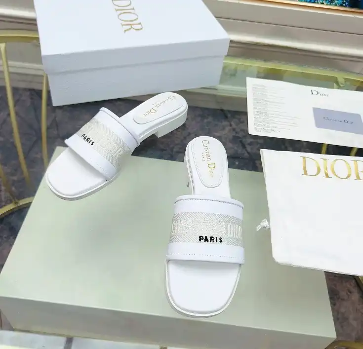 hype Christian Dior Slippers