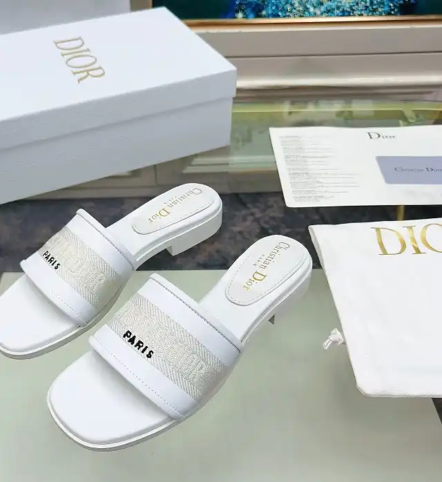 hype Christian Dior Slippers