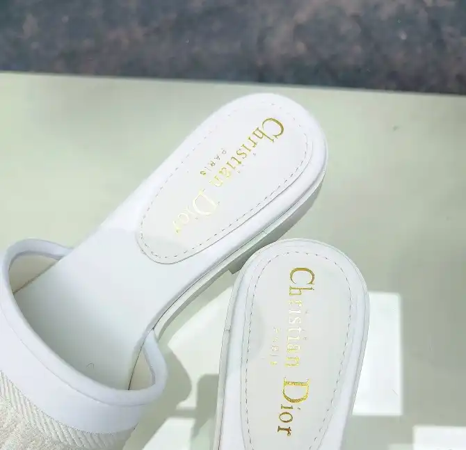 hype Christian Dior Slippers