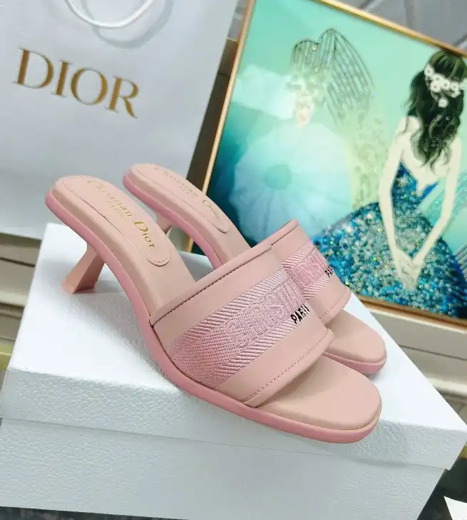 hype Christian Dior Slippers