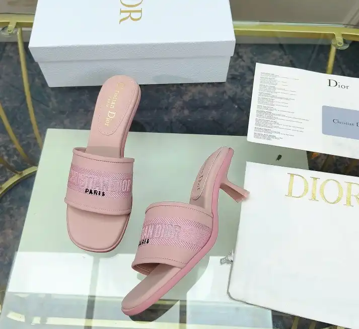 hype Christian Dior Slippers