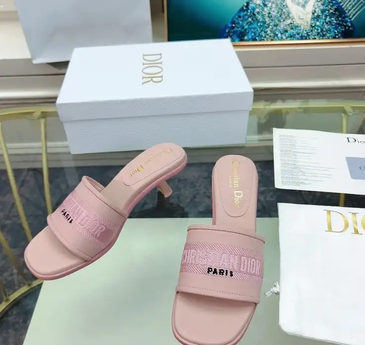 hype Christian Dior Slippers