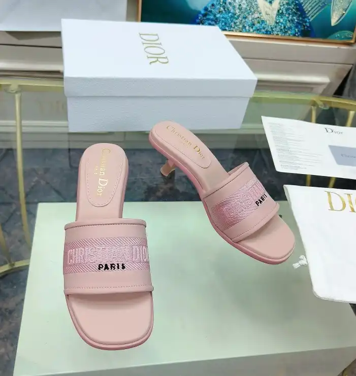 hype Christian Dior Slippers