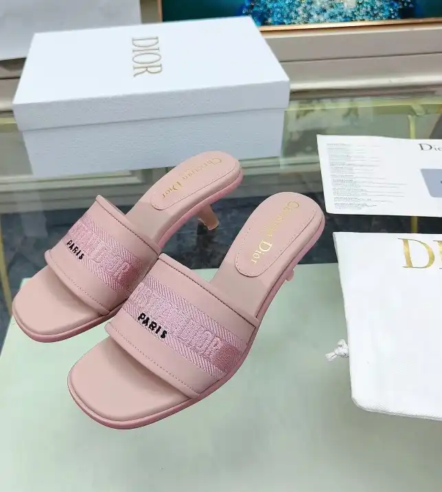 hype Christian Dior Slippers