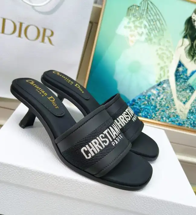 hype Christian Dior Slippers