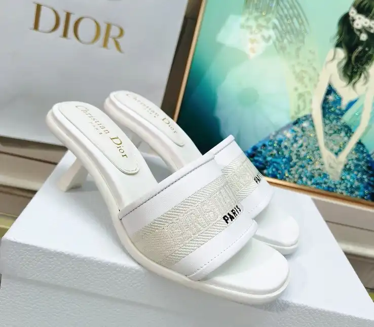 hype Christian Dior Slippers