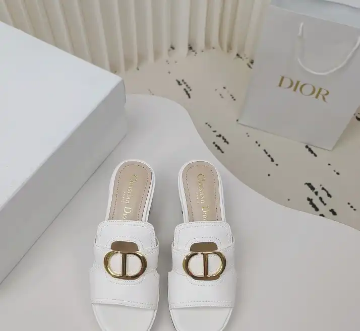 hype Christian Dior Slippers