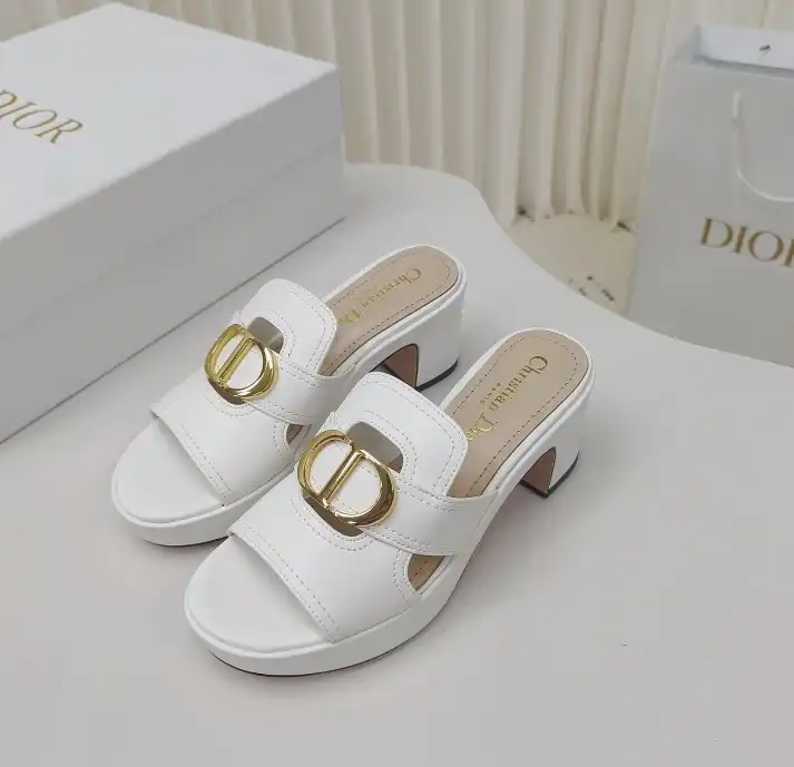 hype Christian Dior Slippers