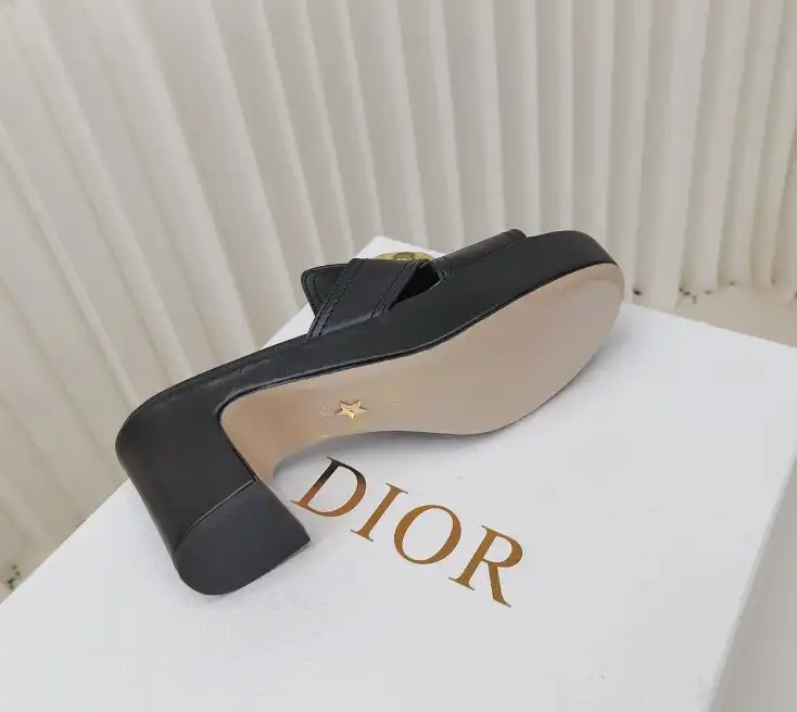 hype Christian Dior Slippers