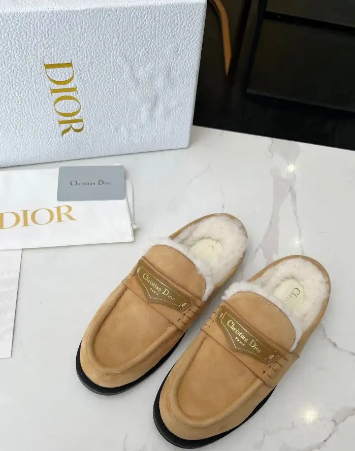 hype Christian Dior Slippers