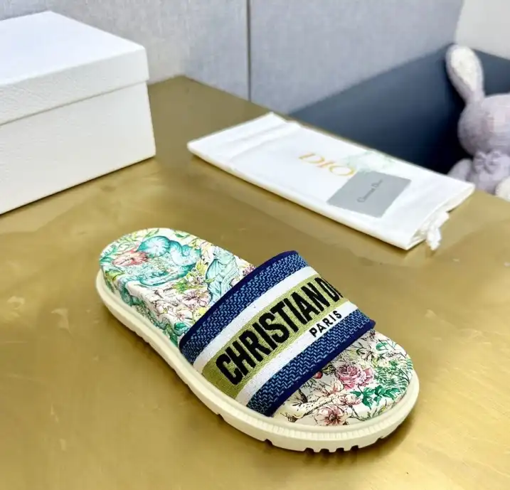 hype Christian Dior Slippers