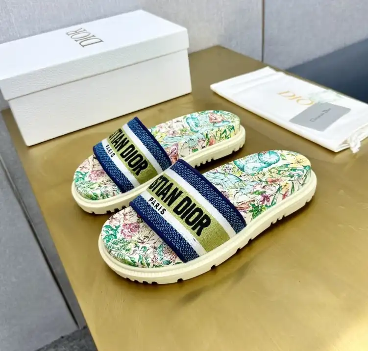 hype Christian Dior Slippers