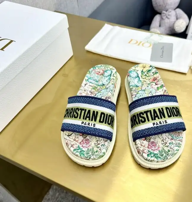 hype Christian Dior Slippers