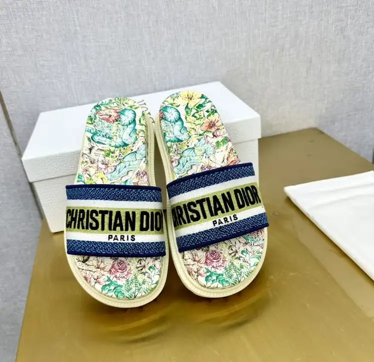 hype Christian Dior Slippers