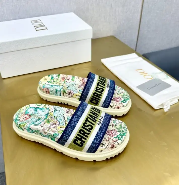 hype Christian Dior Slippers