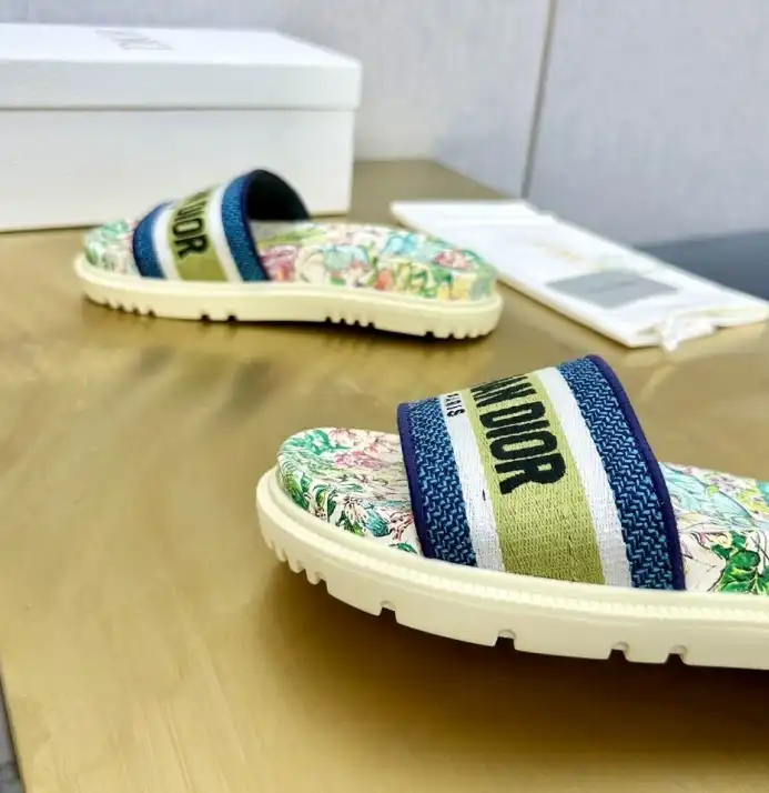 hype Christian Dior Slippers