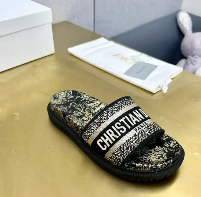 hype Christian Dior Slippers