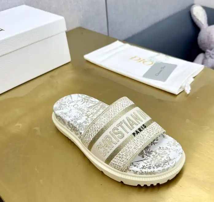 hype Christian Dior Slippers