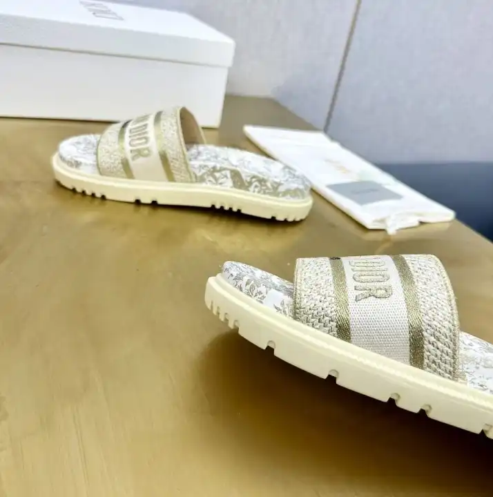 hype Christian Dior Slippers