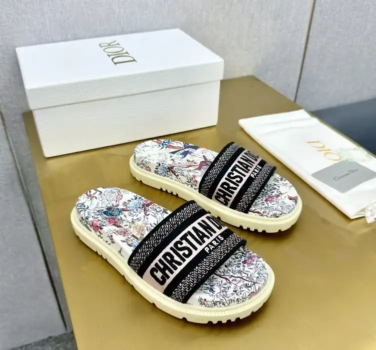 hype Christian Dior Slippers