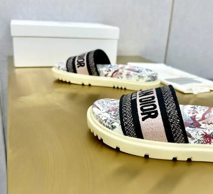 hype Christian Dior Slippers