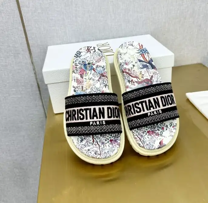 hype Christian Dior Slippers