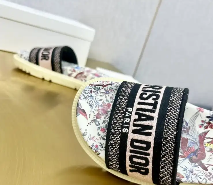 hype Christian Dior Slippers