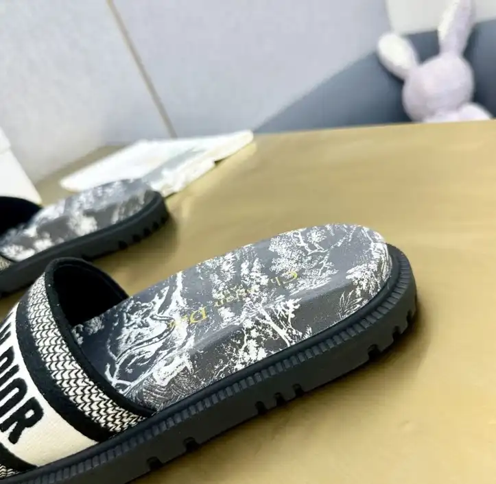 hype Christian Dior Slippers