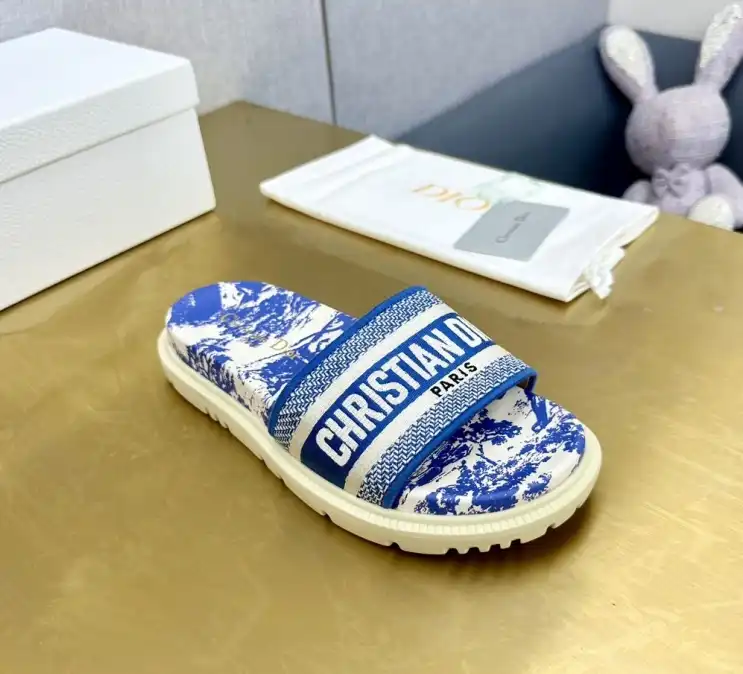 hype Christian Dior Slippers