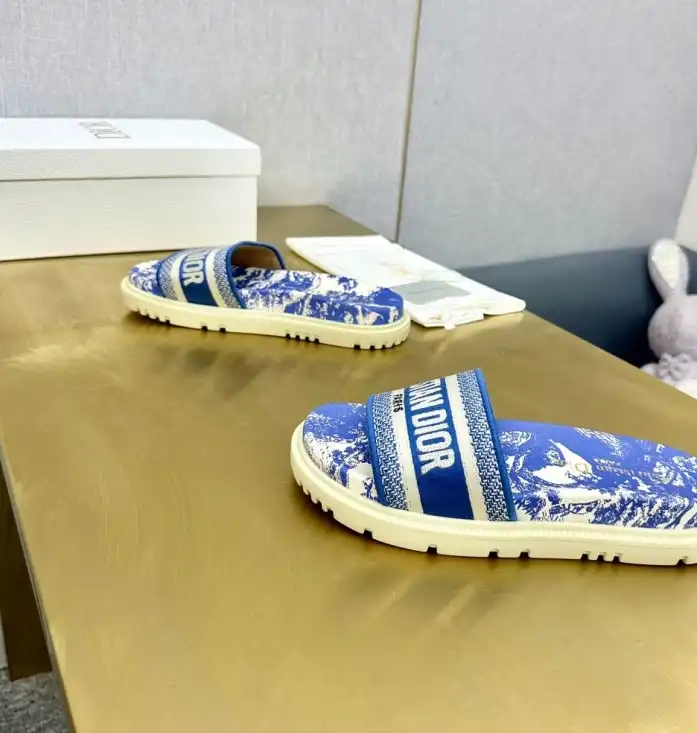 hype Christian Dior Slippers