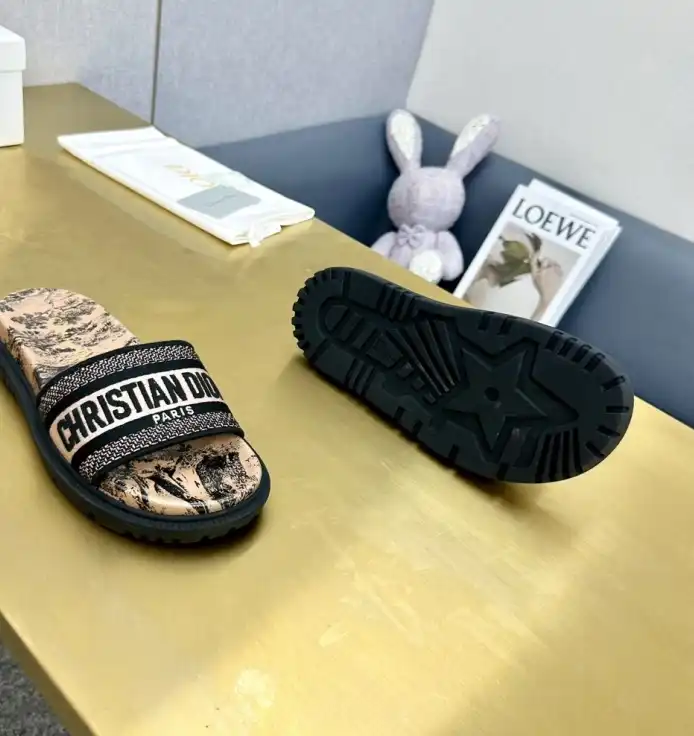 hype Christian Dior Slippers