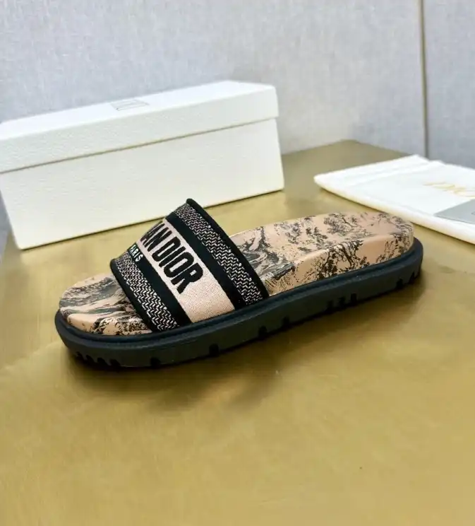 hype Christian Dior Slippers