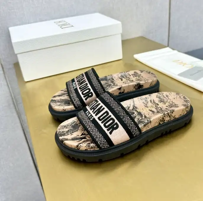 hype Christian Dior Slippers