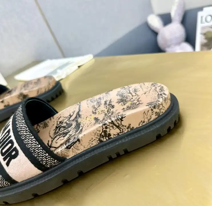 hype Christian Dior Slippers