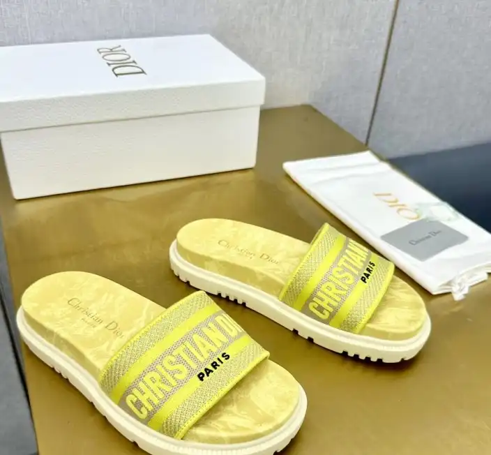 hype Christian Dior Slippers